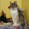 Отзыв от Антонина Пирогова
